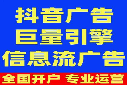 SEM推广公司成功案例：助力企业实现品牌多元化发展